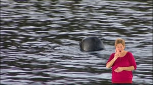 Arka ja Parka - kuuttikaksoset (viittomakielelle tulkattuna): Arka ja Parka - kuuttikaksoset