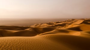 Avara luonto: Villi Lähi-itä