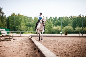 Ystäväni hevonen: Pararatsastus