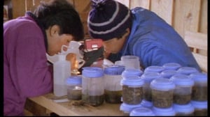 Löytöretkiä maailmaan