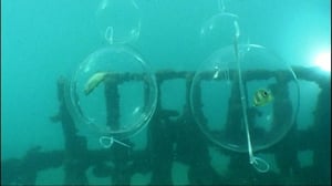 Löytöretkiä maailmaan