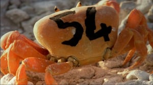 Löytöretkiä maailmaan