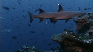 Löytöretkiä maailmaan