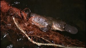 Löytöretkiä maailmaan