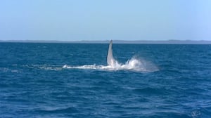 Löytöretkiä maailmaan