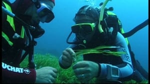 Löytöretkiä maailmaan