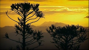 Löytöretkiä maailmaan