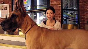 Uusi Päivä: UPplus: Aneten aprillipäivä