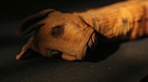 Historia: Egyptin pyhät eläimet