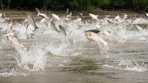 Prisma: Oudoimmat luonnonilmiöt