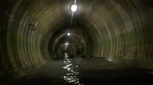 Schrödingerin kissa