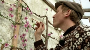 Tanskalainen maajussi