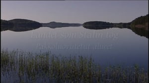 Pakkoluovutetut alueet