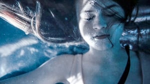 Kotikatsomo: Sorjonen