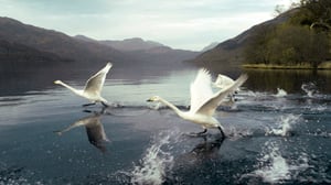 Prisma: Taivaan valloitus