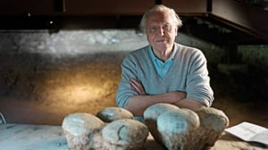 Prisma: Eläinten evoluutio