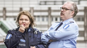 Kotikatsomo: Myrskyn jälkeen