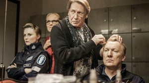 Kotikatsomo: Myrskyn jälkeen