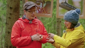 Ulos luontoon Kevätseuranta