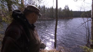 MOT: Ylivuotoja kultakaivoksilla