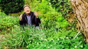 Rakkaudesta puutarhaan