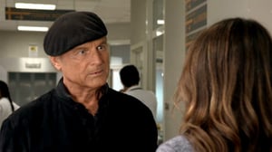 Isä Matteon tutkimuksia