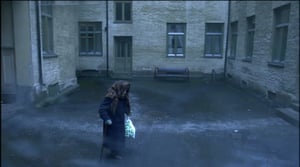 Vera vailla ystäviä