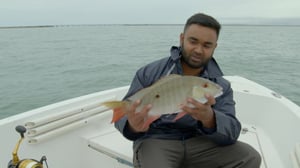 Kalastajien kuninkaalliset