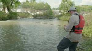 Kalastajien kuninkaalliset