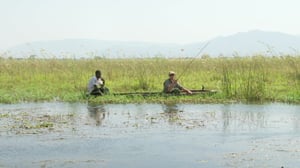 Kalastajien kuninkaalliset