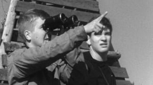 Merenkurkun lintukuvaajat