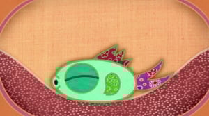 Tilkkupeiton tarinoita