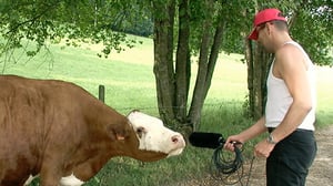 Sveitsiä etsimässä