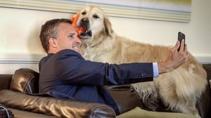 Amerikkalainen lähettiläs