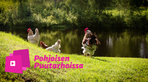 Pohjoisen puutarhoissa: Maalaispuutarha ja rantaidylli