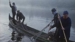 Tenon ylpiä kala - Deanu Ceavlas Guolli