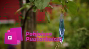 Pohjoisen puutarhoissa: Permapihalla tuholaiset ja rikkaruohot ovat tarhurin ystäviä