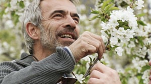 Syötävän hyvä Espanja