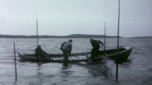 Taistelu saaristostamme. Tuhoutuuko saaristo?