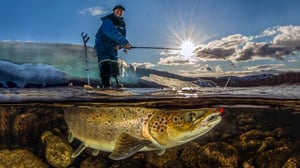 Seikkailu linssin läpi