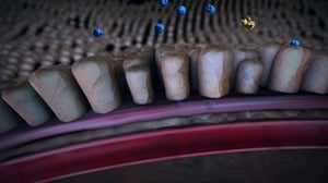 Eurooppalainen keksintöpalkinto 2016