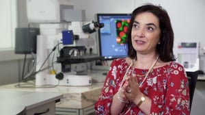 Eurooppalainen keksintöpalkinto 2016