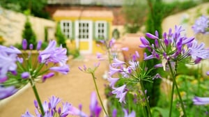 Rakkaudesta puutarhaan