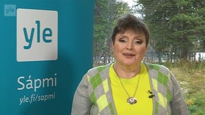 Yle Oddasat