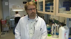 Yle Uutiset selkosuomeksi