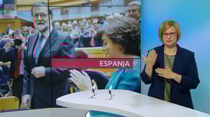 Yle Uutiset viittomakielellä