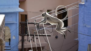 Avara luonto: Planeettamme Maa II