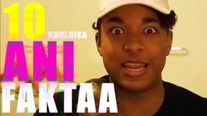 Summeri: 10 FAKTAA | Ani