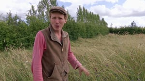 Tanskalainen maajussi