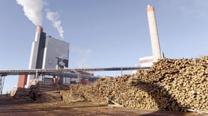 Yle Uutisluokka Triplet: Puuteollisuus hakee kasvua uusista biotuotteista